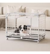 Amazon | N&S ペットキャリー XLサイズ 大型犬 中型犬 猫 IATA対応