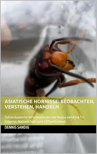 Asiatische Hornisse: Beobachten, Verstehen, Handeln: Faktenbasierte Informationen zur Vespa velutina für Imkerei, Naturschutz und Öffentlichkeit