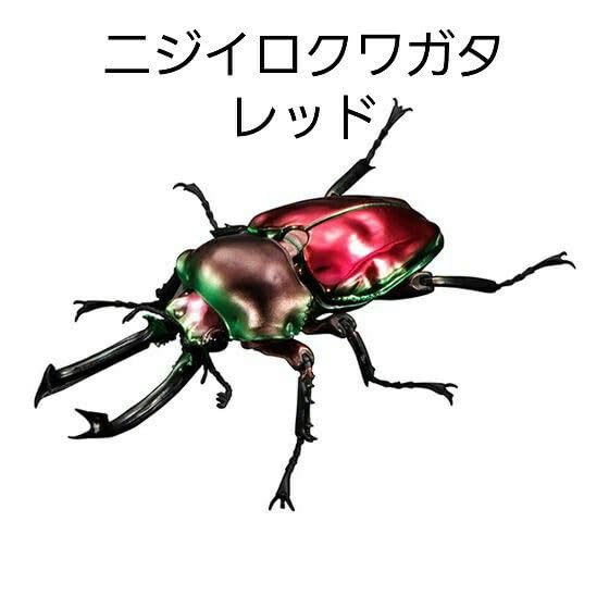 Amazon.co.jp: ガチャ 全4種 ニジイロクワガタ アドバンス