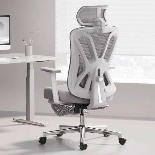 Hbada P5 Silla de Oficina ergonómica con Soporte Lumbar Ajustable...