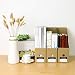 TIANSE Set de archivador de Papel – 6 unidades – El perfecto...