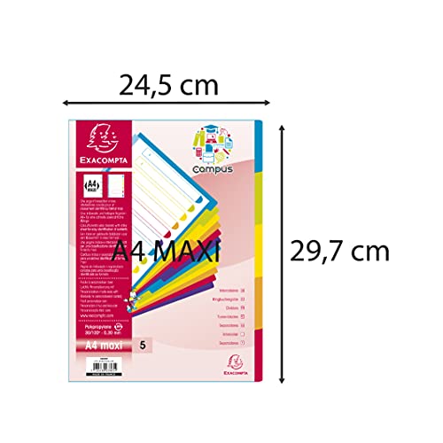 Exacompta 3805e Tabbladen en borden, 30.2 x 24,5 cm, Translucide - Image 7