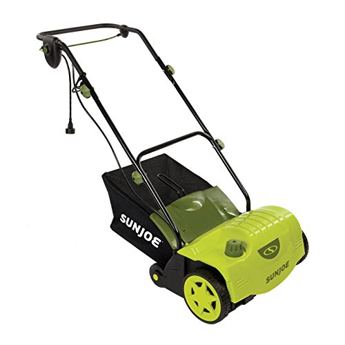 The Best Electric Dethatcher