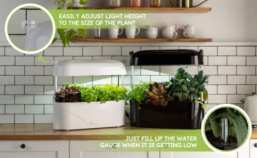 Vegepod - Kitchen Garden - Gourmet Herb And Vegetable Indoor Grow Kit, Self Watering, Led Grow Light (White) #TOP5