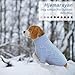Hjumarayan Hundepullover Kleine Hunde - Schlicht & Elegant Hunde Pullover, Warm Hundepullover mit Geschirrloch, Schöner Hundepulli mit Beinen Hund Pullis für Chihuahua (Blau XS)