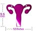 ROFLmart Uterus Party Bundle Banner Confetti And Balloon Decorations For Hysterectomy Party