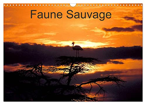 Faune Sauvage (Calendrier mural 2023 DIN A3 horizontal)