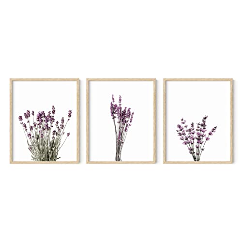 HAUS AND HUES Botanical Wall Art Frame - Set of 3 Calming Lavender Prints, Plant Posters, Floral Minimalist Flower Pictures (Beige Frame, 16x20)