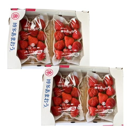 [選べる発送月]福岡県産あまおう約250g×4パック (1月発送)