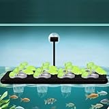 Cesta flotante para plantas de acuarios con múltiples agujeros de plantación y barra flotante ajustable para jardines submarinos
