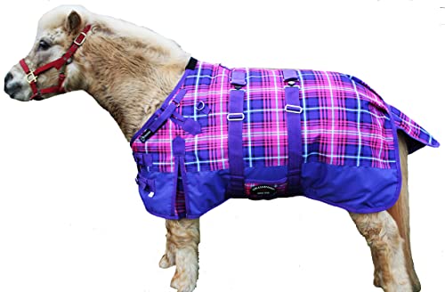 Image of CHALLENGER 1200D Foal Winter Blanket Miniature Pony Donkey Bellyband Turquoise Rustic