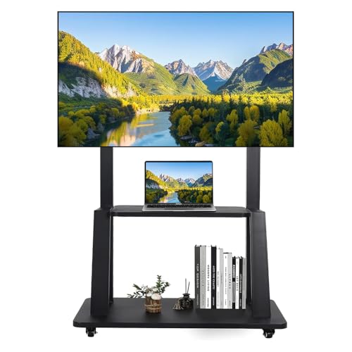 Mobile TV Stand