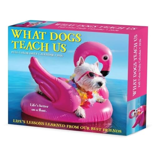 Willow Creek Press, What Dogs Teach Us 2026 Desk Calendar, 6.18'' X 5.43'', Daily Calendar with Adhesive Binding