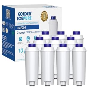 GOLDEN ICEPURE Ersatz für De'Longhi Wasserfilter DLSC002, 10er Pack