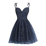 Dessiny Navy Spaghetti Straps Homecoming Dress for Teens 2024 Short Prom Gowns Elegant Lace Applique Tulle Homecoming Dresses Short Plus Size US22