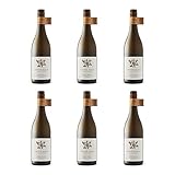 Avondale Jonty’s Ducks Pekin White | 6 x 75cl | South African White Wine 13.5% | Organic & Biodynamic | Crisp Zesty Blend | Chenin Blanc Roussanne