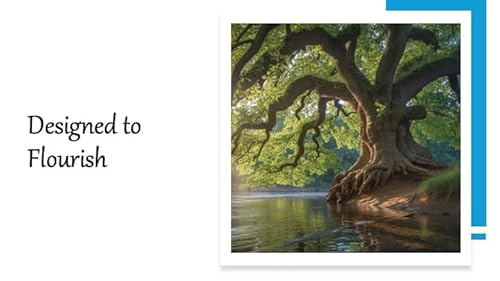 Episode 1326: Designed to Flourish