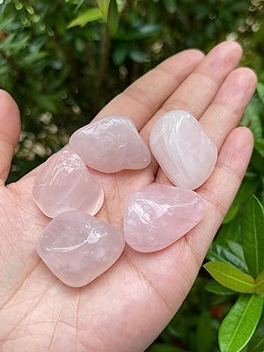 Image of 1 /2 LB Rose Quartz Tumbled Stones, Polished Rose Quartz Gemstone, Rose Quartz Healing Crystals (Rose Quartz)