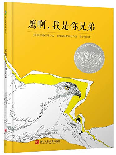 Hawk, I'm Your Brother (Chinese Edition) [Chinese] 7534068010 Book Cover