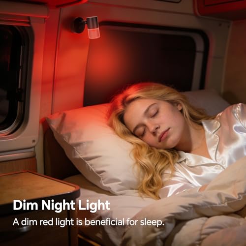acegoo 12V Leselampe Wohnmobil LED Dimmbar Bett Lampe mit USB-Schnellladegerät, Acryl Spot 24VDC für Boot Wohnwagen Camper Van Yacht Innenbeleuchtung, Fest verdrahtet 3200K/rote Nachtlicht Schwarz