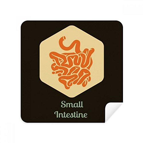 Chiffon de nettoyage pour écran Body Organs Lot de 2 lingettes de portable en daim lavable