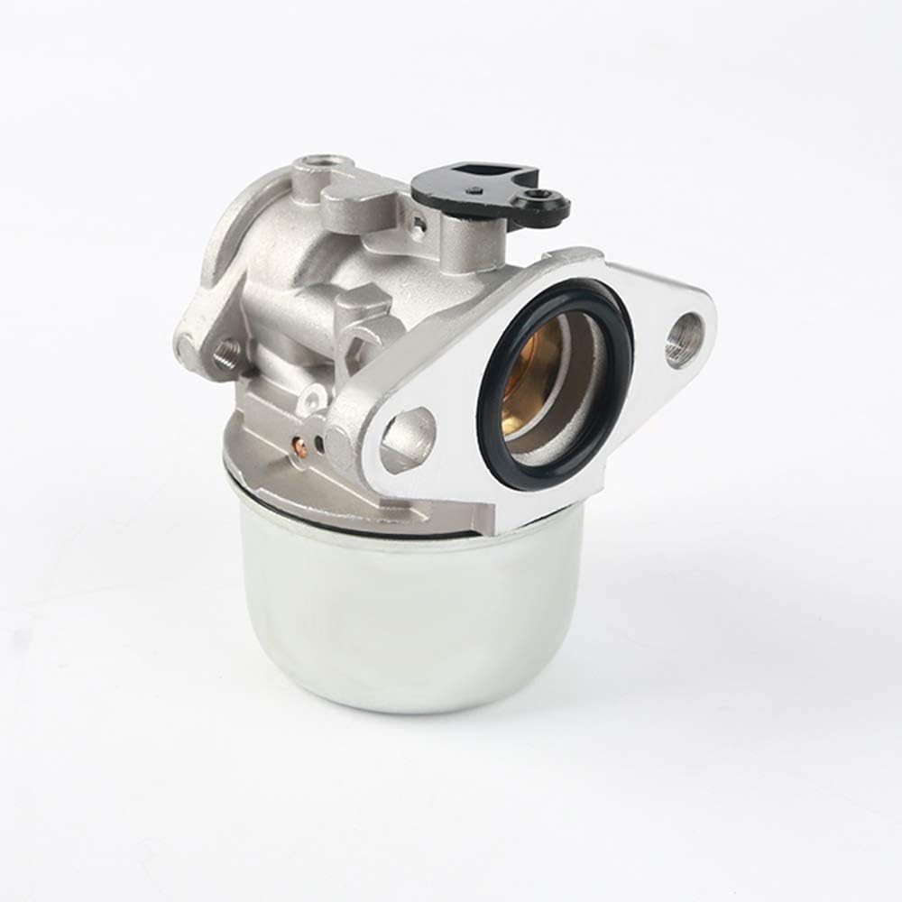 Kit Di Ricambio Carburatore Motore Compatibile con Brigg e Stratton 497586 498170 799868 498254 497314 497347 698444 con Filtro Aria