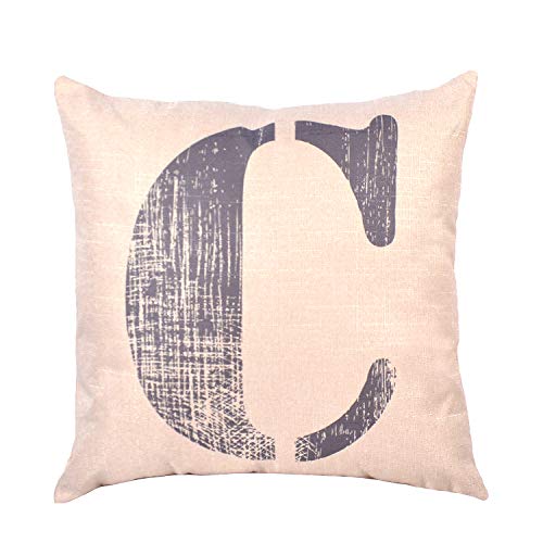 EvZ Pillow Covers Letter Decorative Throw Pillow Case Home Decor Design Gift Square, 18 X 18 inch, Graffiti Paint, C