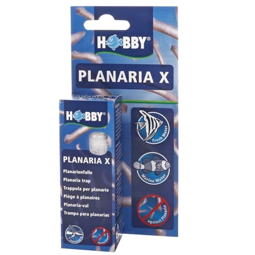 Hobby Planaria X