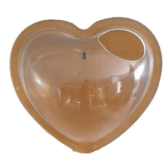 DDSS Heart Shape Wall Mount Hanging Acrylic Fish Aquarium Bowl Tank for Small Betta Fish & Plants (10 INCH) (B0D6VLZWF6) Amazon Price History, Amazon Price Tracker