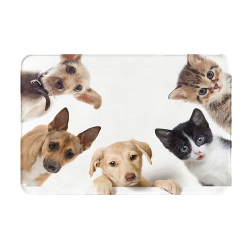 ���փ}�b�g �� ���� ���� ���O ����~�� �􂦂� �k���� �t�����l�� �z������ �h�L �R�� ���� ������� 40×60cm �o�X�}�b�g �L�b�`���}�b�g