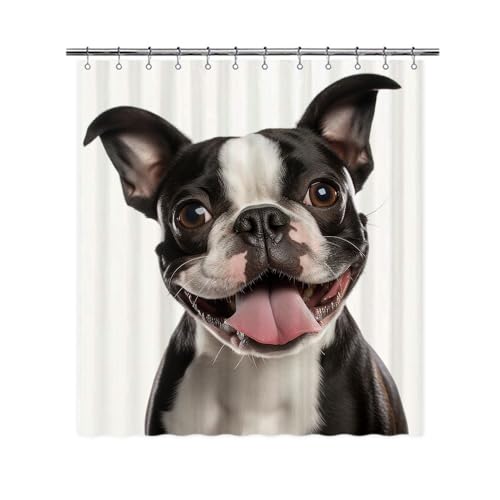 Ganshan Bi Boston Terrier Dog Shower Curtain for Bathroom Lovely Dog Puppy Pet Animal Print Bath Curtains Home Decor with 12 Hooks 66x72 Inch Style 1