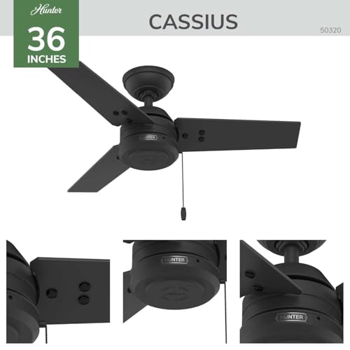Image of Hunter 36 inch Cassius Indoor /Outdoor Ceiling Fan, Pull Chain, Fresh White