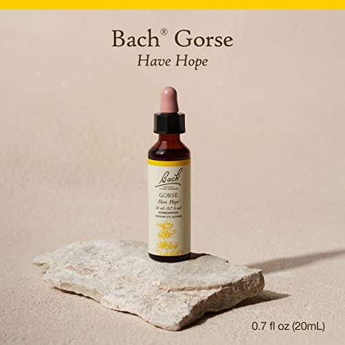 Bach Original Flower Remedies, Beech for Tolerance, Natural Homeo