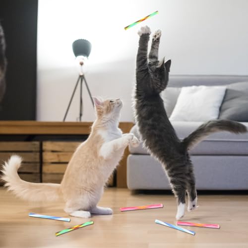 Joyzan Cat Spring Toys Set, Colorful Attract Kitten Interactive Tube Kitty Playful Flexible Bouncy Pet Folding Mesh Fun Action Toys Bulk Plastic Coil Interaction Indoor Swatting Biting Hunting 10Pcs