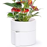 Phoenix Vine 6.5 Inch Self-Watering Planter Pot with Terracotta Insert, Deep Water Reservoir, and Ceramic-Alike BPA-Free Plastic Pot for Plant, Modern Planter for Houseplants, White, 53-A-S-1
