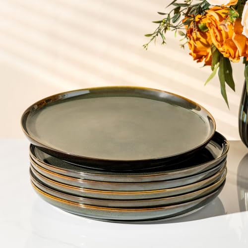 theterra Ceramic Dinner Plates Set of 6, 10.5 Inch Dinnerware Plates