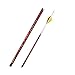 Black Eagle Outlaw Fletched Crested Arrows - .005