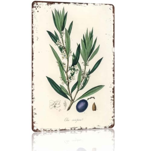 Vintage Olive Botanical Metal Sign 8x12 Inch for Kitchen Wall Decor