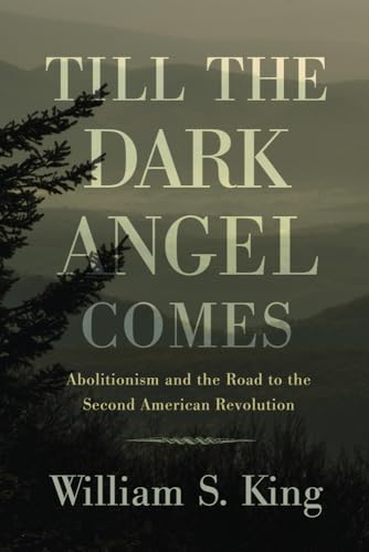 Till the Dark Angel Comes: Abolitionism and the Road to the Second American Revolution