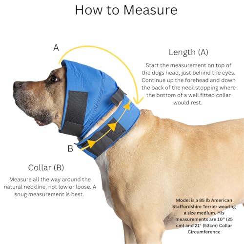 Bandage pour oreilles No Flap ajustable et respirant bleu pour chien M