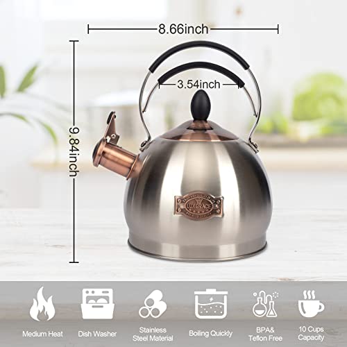 Whistling Tea Kettle Stainless Steel Teapot, Teakettle For Stovetop Induction Stove Top, Fast Boiling Heat Water Tea Pot 2.6 Quart #TOP2