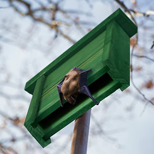 Relaxdays Bat Box, Large Safelodging for Wildlife HxWxD: 29x18x6, Animal Hotel, Sanctuary, Protect, Pine Wood, Green - Image 3