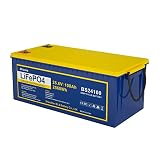 Ninthcit LiFePO4 Akku 25.6V 100AH 2560Wh, Lithium Batterie mit über 8000 Mal Tiefzyklen und BMS Schutz für Solaranlage, Geeignet für Solaranlagen, Wohnmobile, Boote, Häuser, Solarpanel-Kits