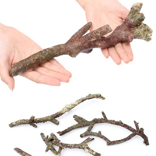 iCj`O[hCubN }kTCYiPji`󂨔Cj