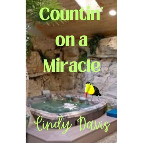 Countin' on a Miracle Audiobook By Cindy Davis cover art