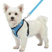 Hypeety Pet Dog Vest Harnesses Puppy Cotton Polyester Adjustable Dog Mesh Harness Travel Chest Strap Vest Reflective S, Blue
