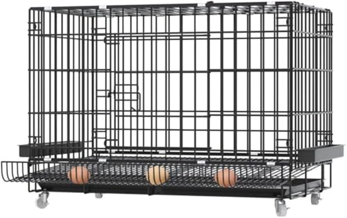 Zeruho 吢ѐ܂肽݌{ `LP[WP[W t[h{Et GbO[P[W LX^[t (ꕔp 85*60*70 gC pbP[W 2 (pbP[W 1 + ))