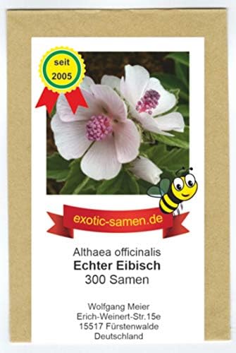 Echter Eibisch Althaea officinalis mehrjährige, frostharte