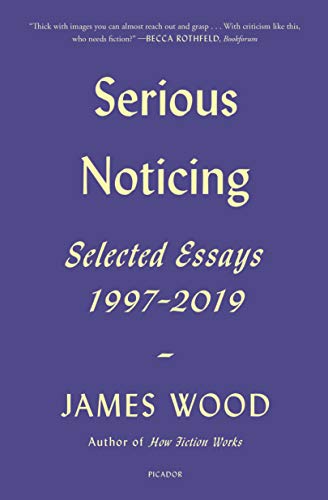 Serious Noticing view 2