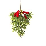 * Choix de cadeau attentionné : cette décoration est un excellent choix pour les cadeaux de vacances, vous permettant de partager l'atmosphère festive avec vos amis et votre famille, d'améliorer leur décoration d'intérieur et de répandre la joie de la saison des fêtes.